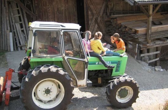 fattoria-durnmueller-siusi-a-sciliar-dolomiti (2)