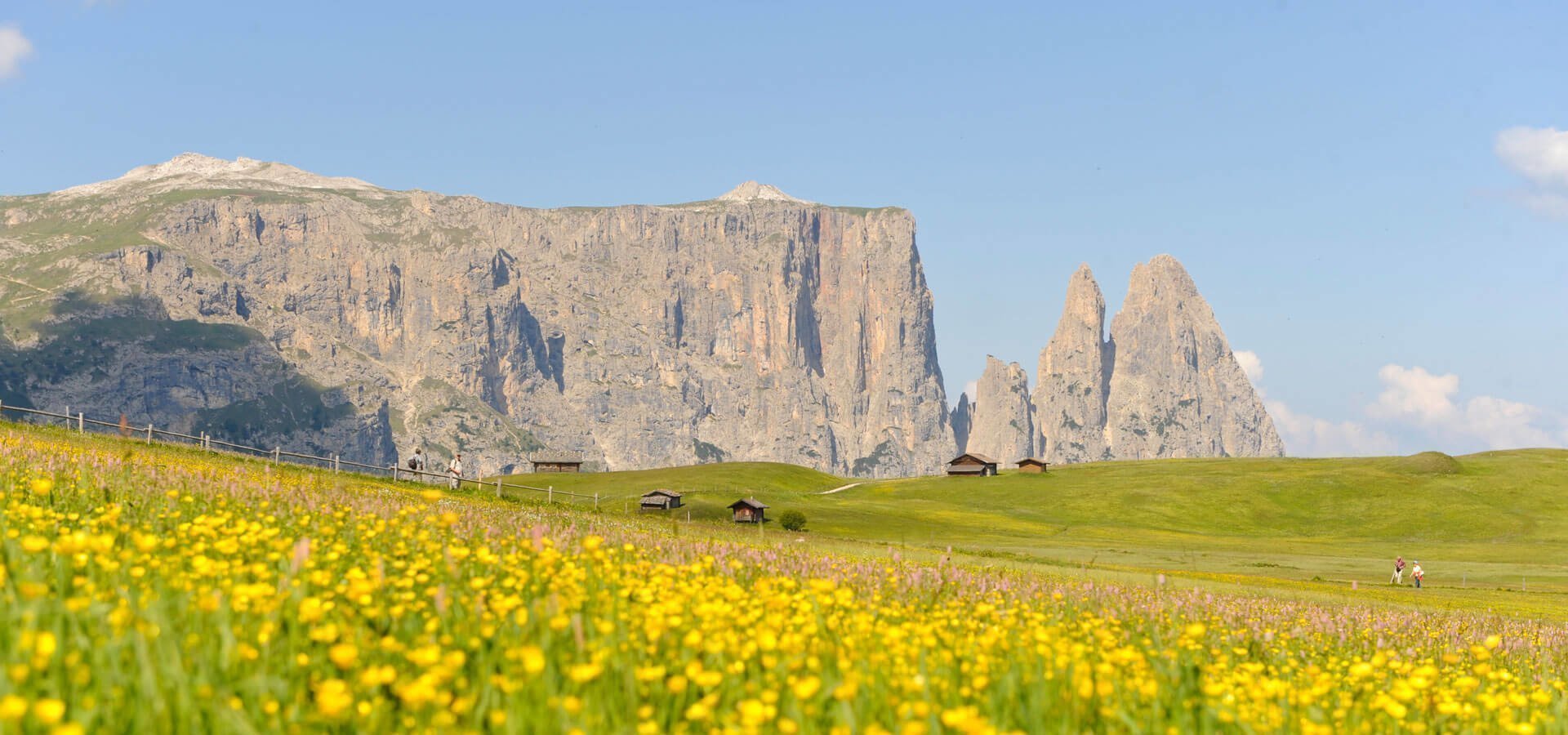 familienurlaub-seis-alm-schlern-suedtirol