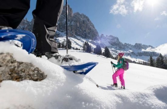 vacanza-ski-dolomiti-inverno-aple-di-siusi  (5)