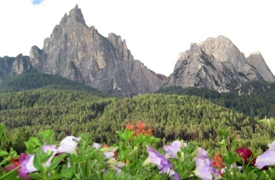 urlaub-auf-dem-bauernhof-seis-am-schlern-kastelruth-(2)