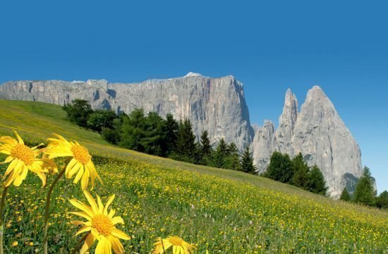 vacanza-sul-maso-siusi-a-sciliar-castelrotto-(3)