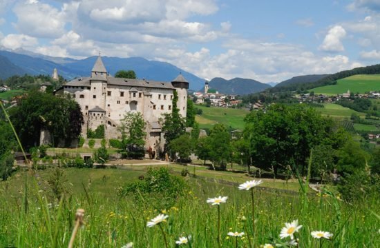 vacanza-sul-maso-siusi-a-sciliar-castelrotto-(4)