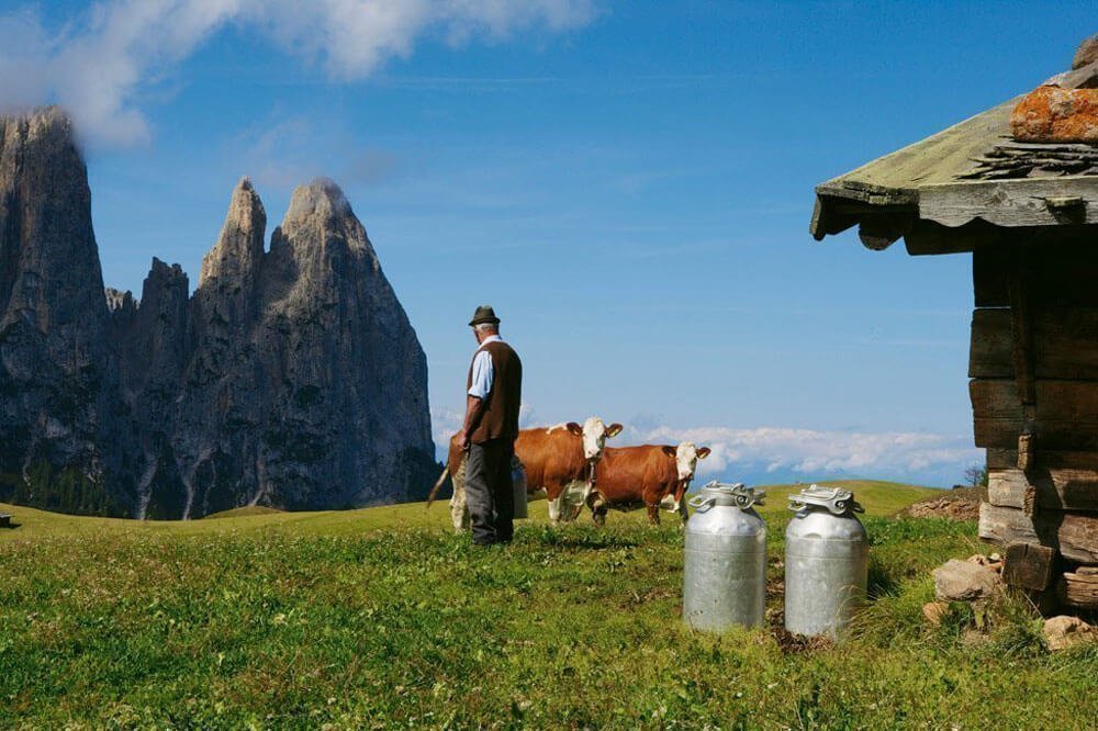 Wanderurlaub Dolomiten – Wandern auf der Seiser Alm